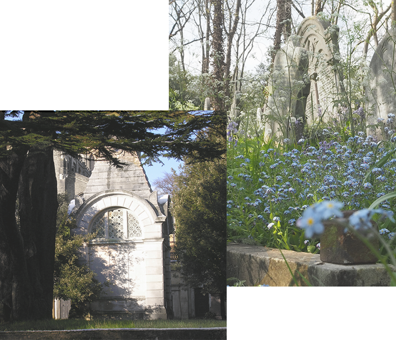 Highgate Cemetery